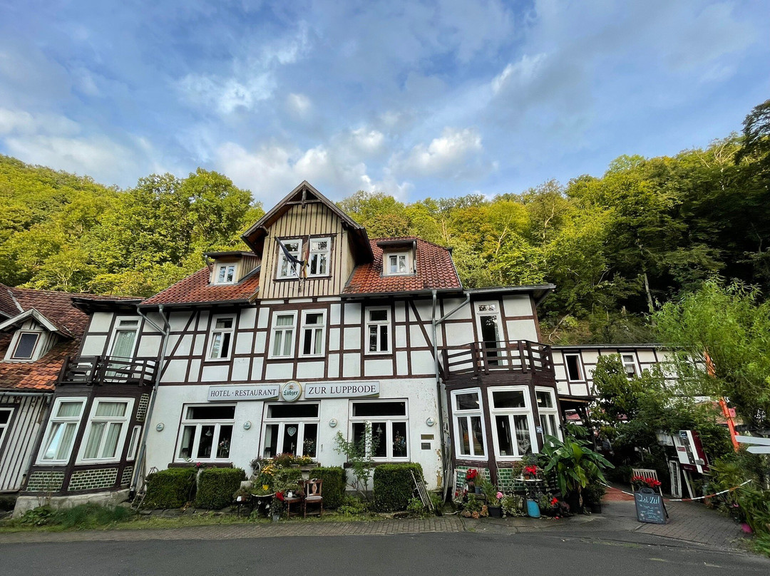 Hotel Zur Luppbode主图