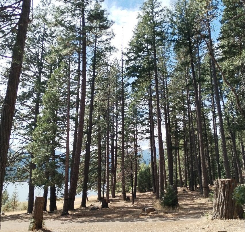 Lake Siskiyou-芒特沙斯塔必去景点