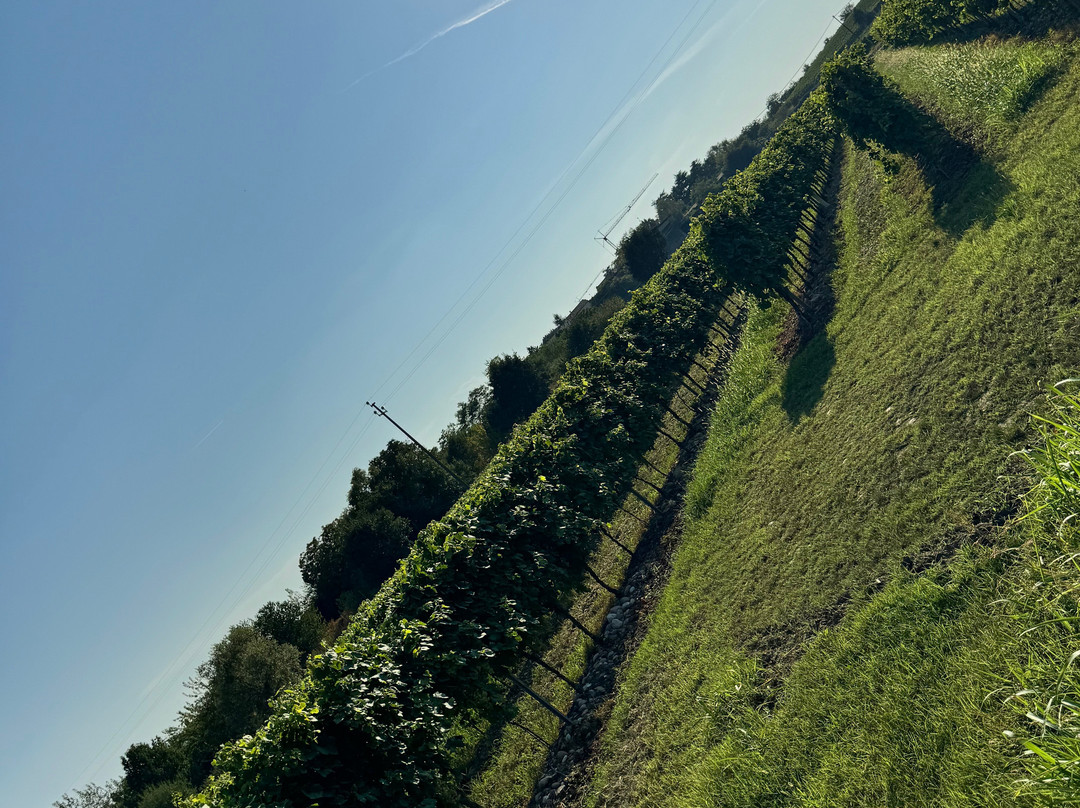 Agriturismo Ca' Del Gal主图