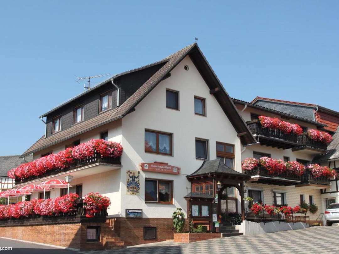 Landgasthof Sauer主图