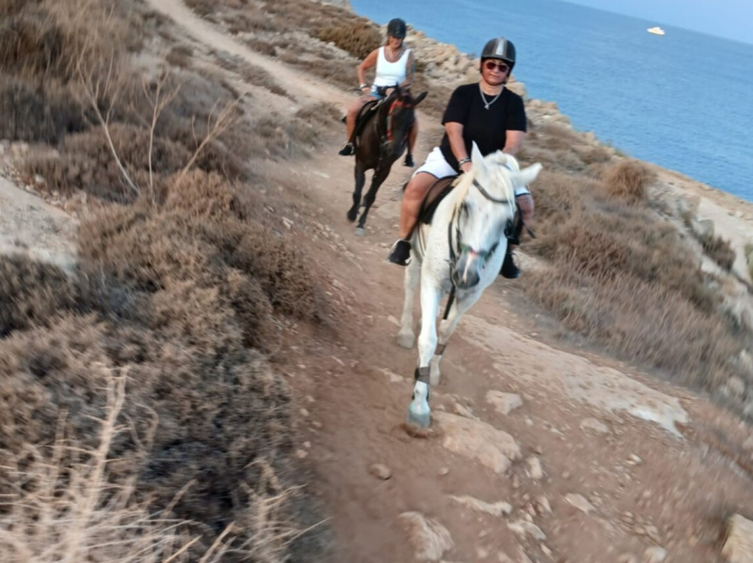Moonshine Ranch-普它肋斯必去景点