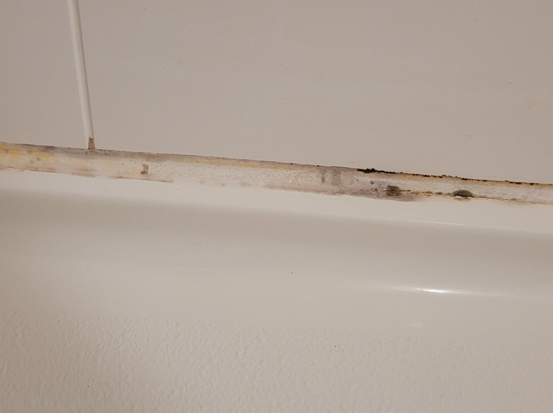 Hampton Inn & Suites Adrian主图