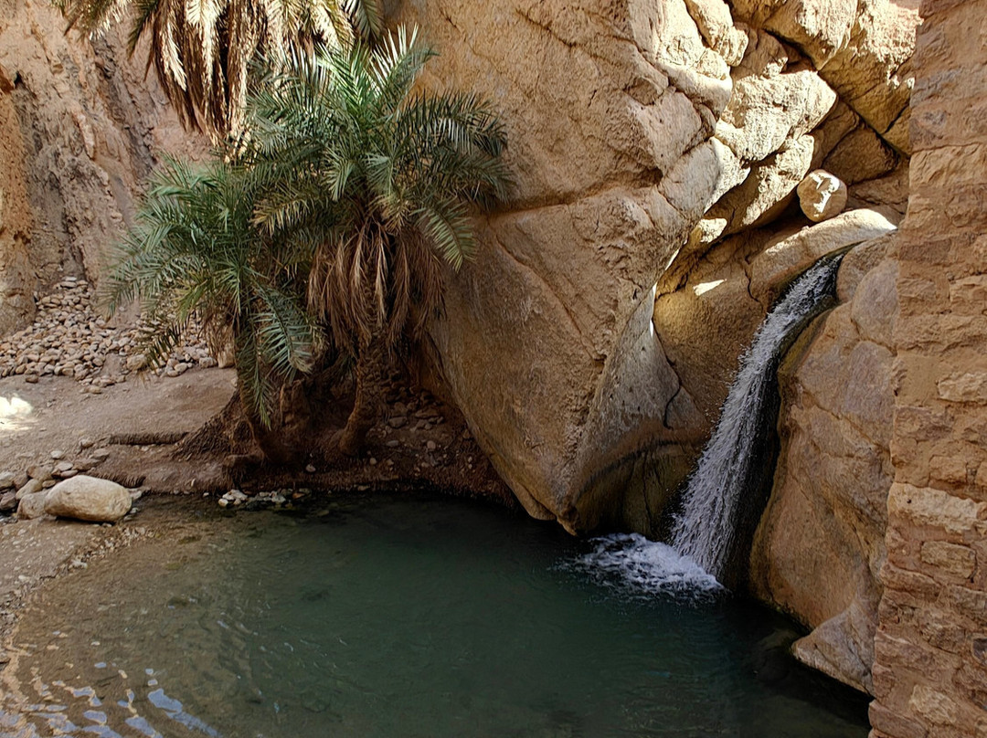 Tamerza Canyon-吐泽尔必去景点