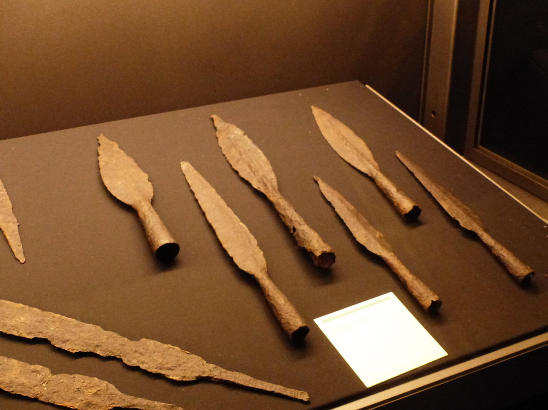 Musei Civici di Pavia Castello Visconteo-帕维亚必去景点