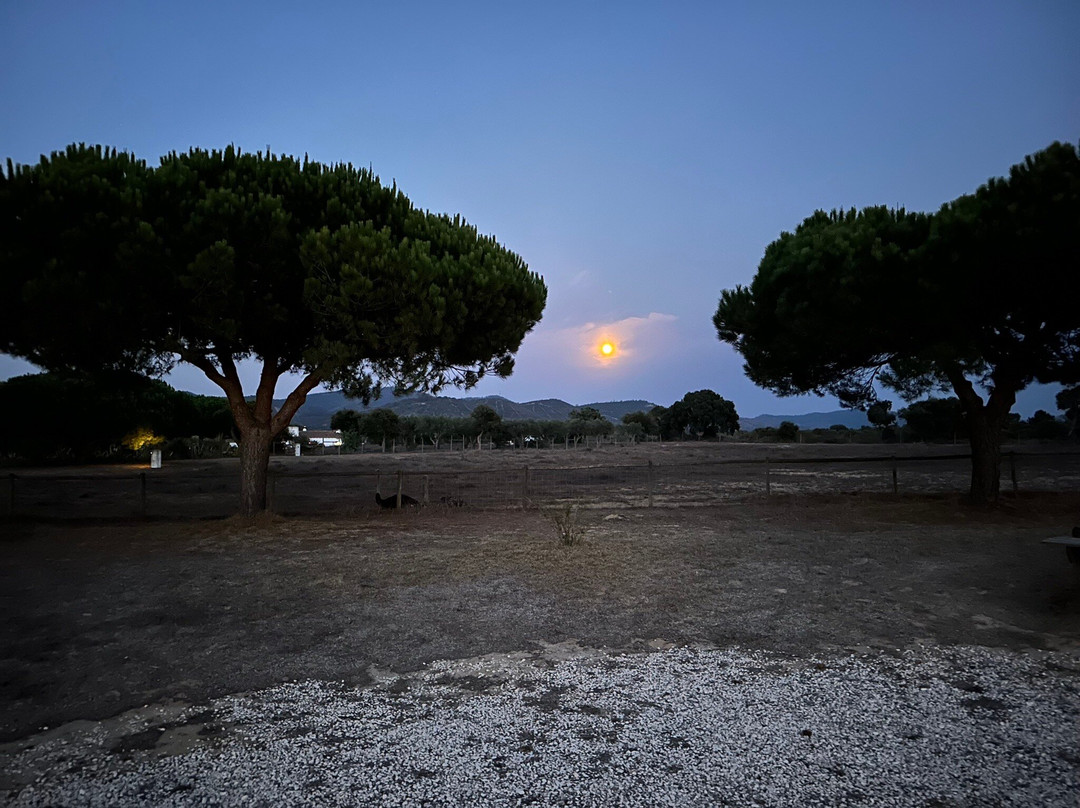 Três Marias - Turismo Rural主图