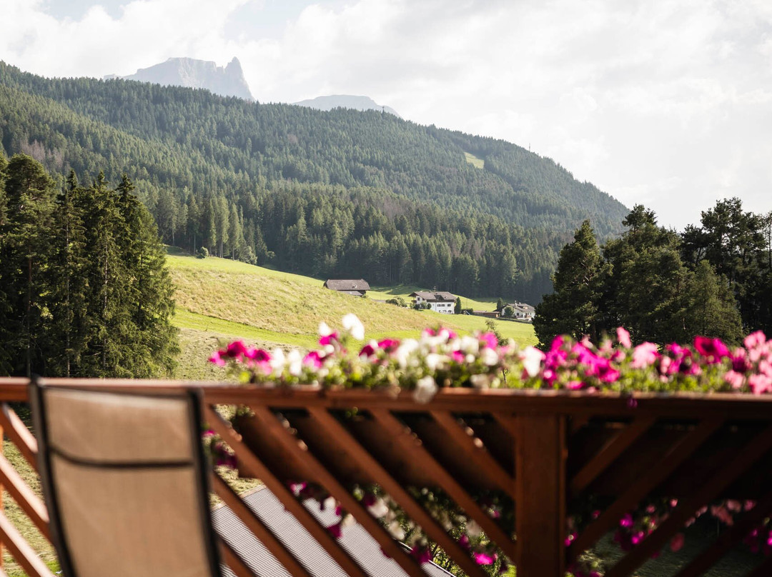 蒂内斯阿尔卑斯休闲木屋主图