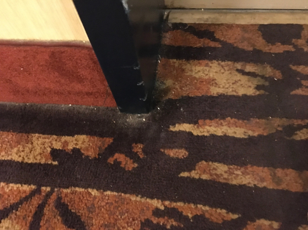 The Lodge on Lake Oconee主图