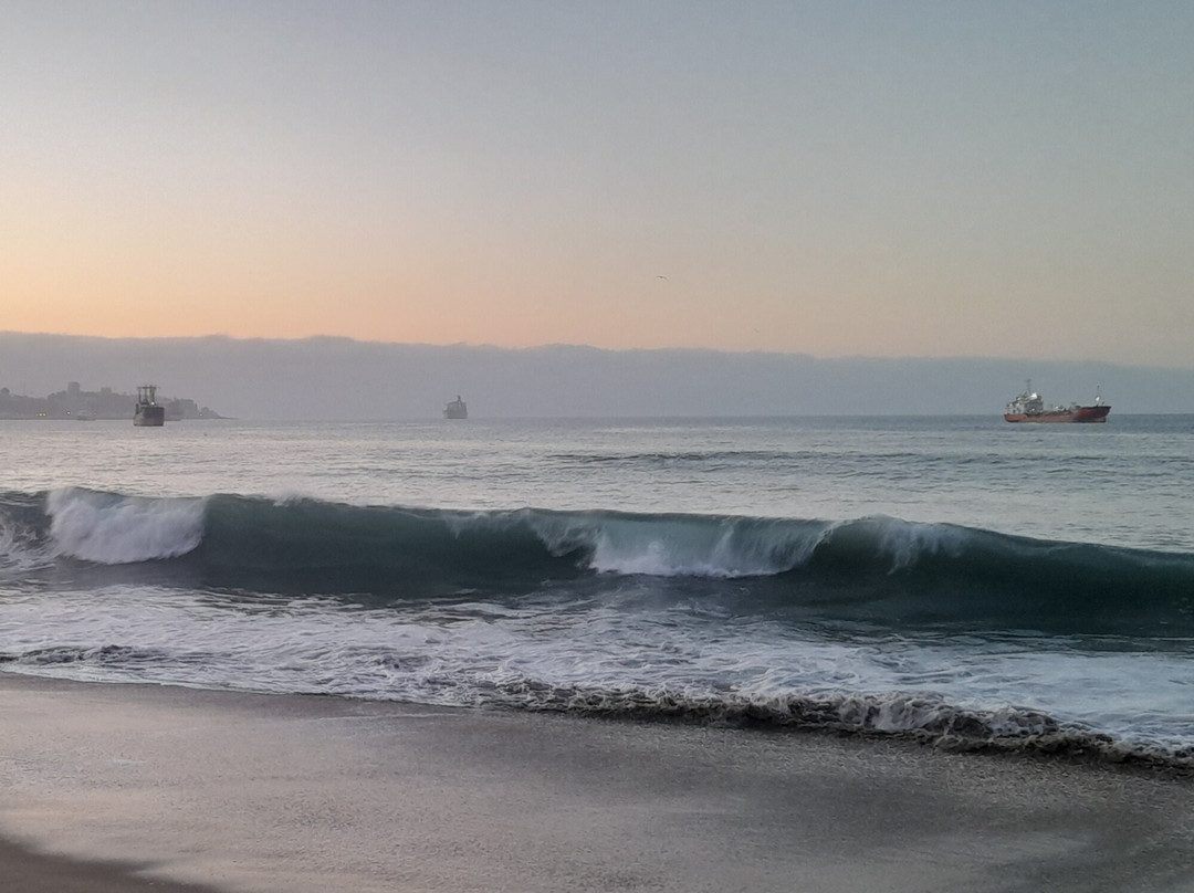 Caleta Portales-瓦尔帕莱索必去景点