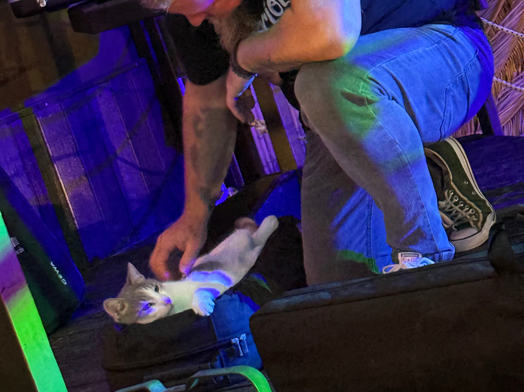 The Jolly Roger-Sissi必去景点