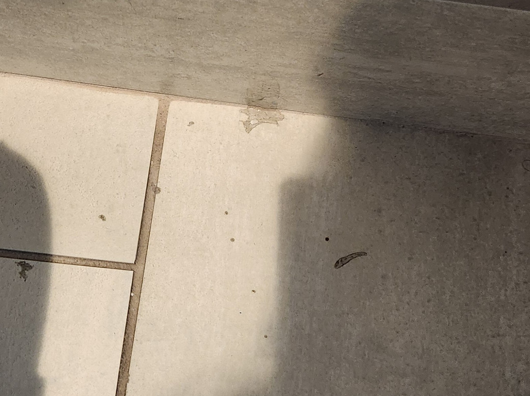 Holiday Inn Express & Suites Denton - Sanger By IHG主图