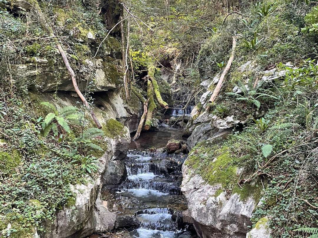 Cuevas de Zugarramurdi-Zugarramurdi必去景点