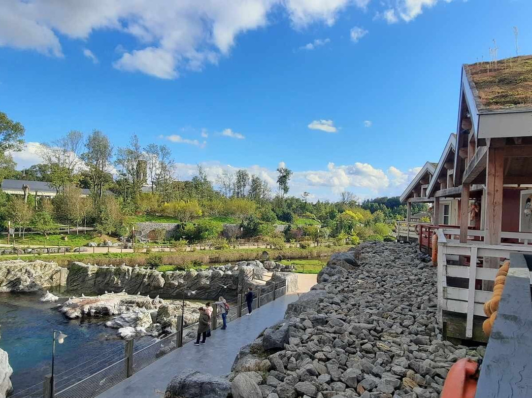 The Paddling Bear Hotel