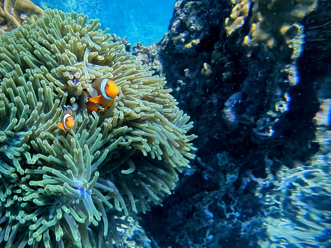 Iboih Dive Centre-Sabang必去景点