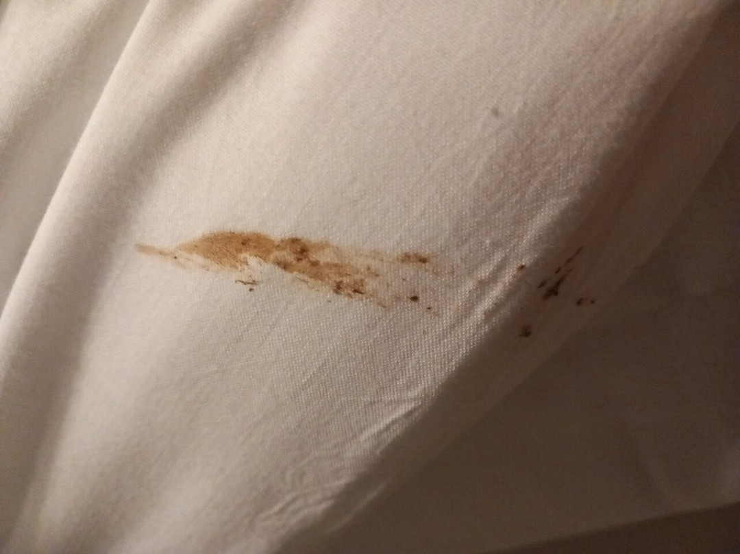 Hotel de la Vendee主图