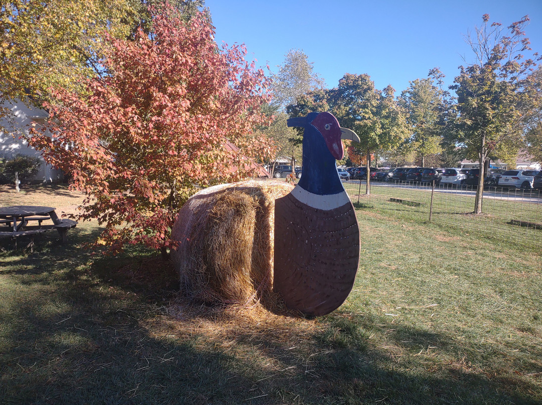 The Great Pumpkin Patch-Arthur必去景点
