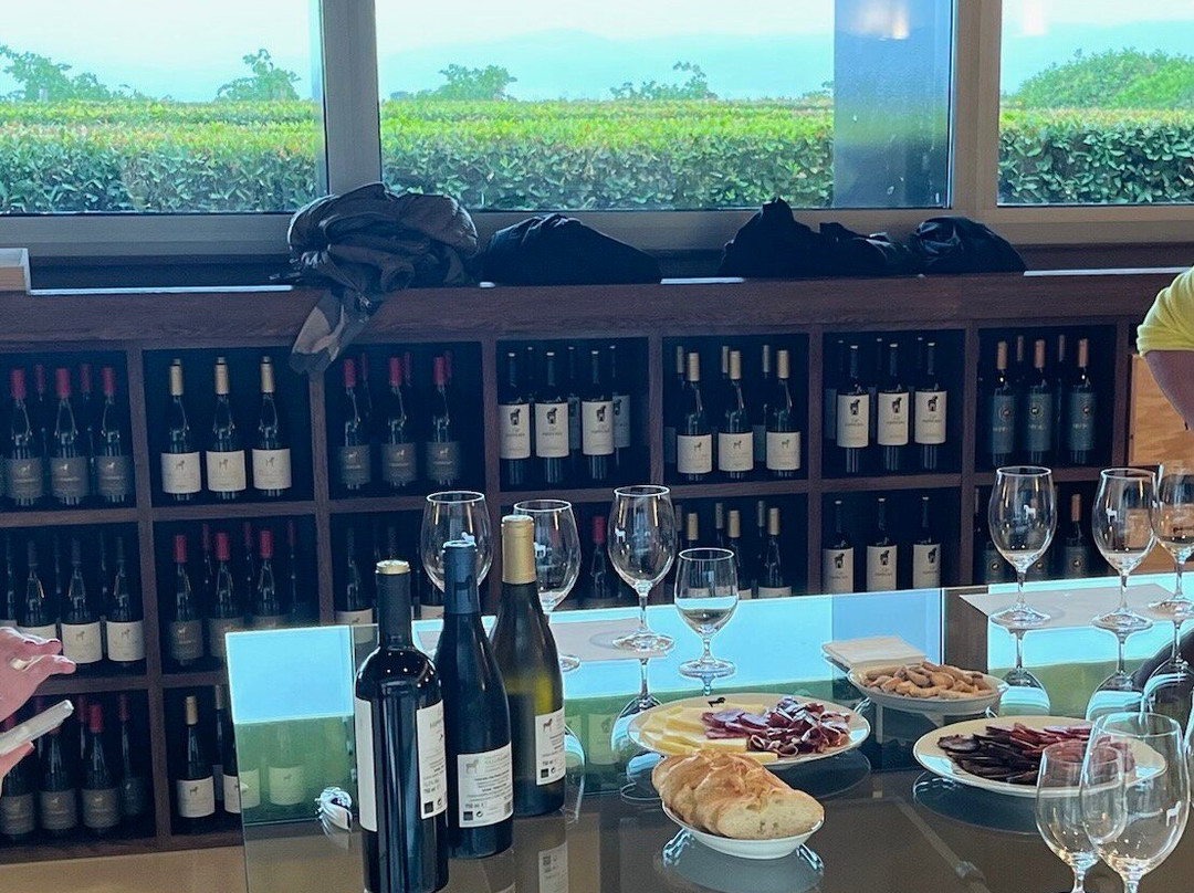 Weingut Vallegarcia景点图片