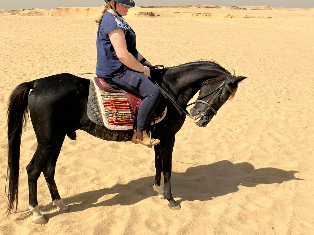 Cairo Horse Riding School景点图片