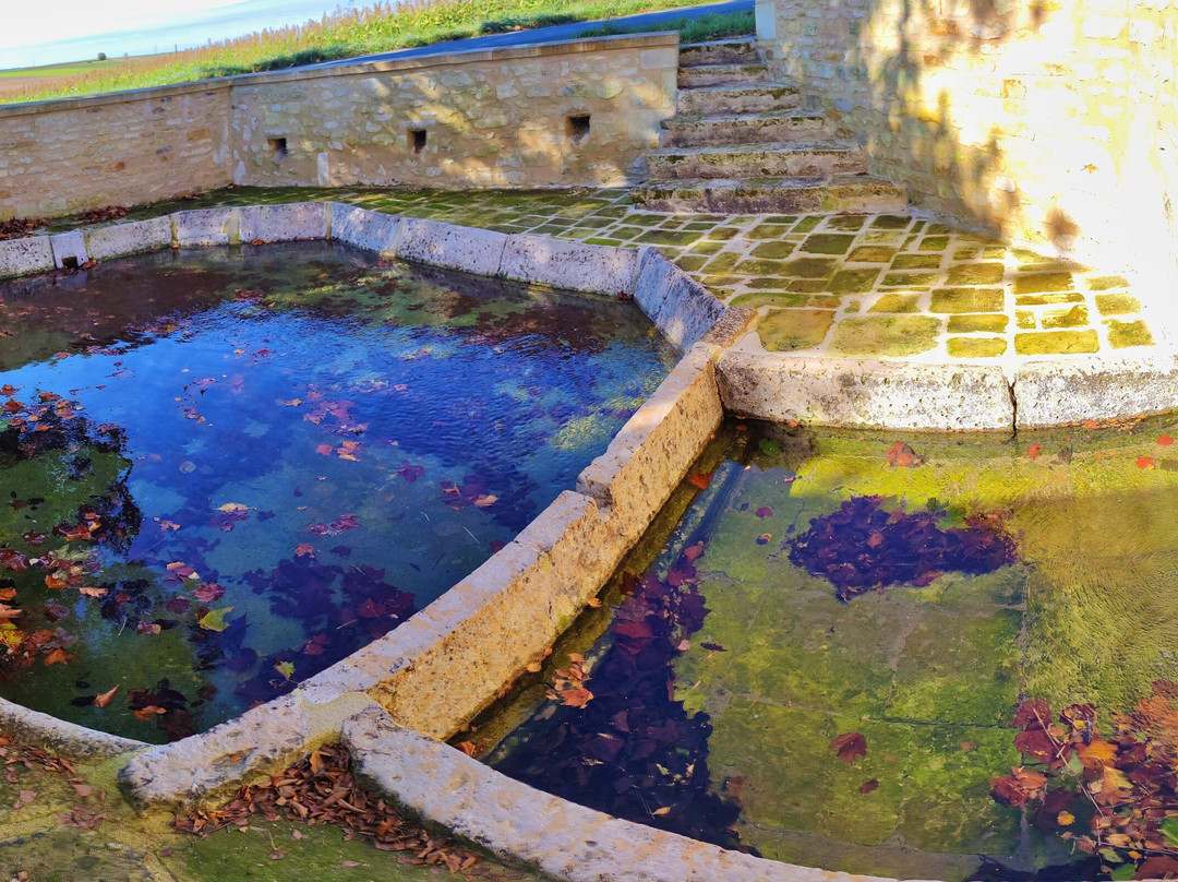 La Fontaine Aux Femmes景点图片