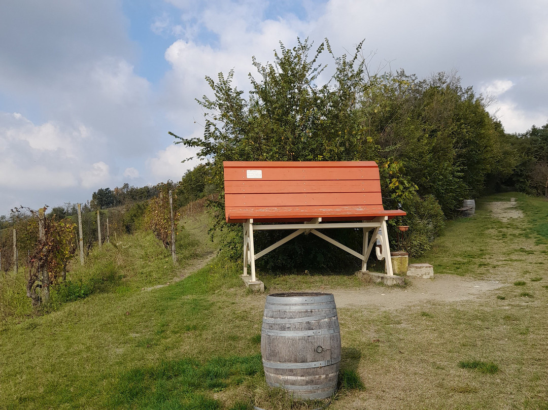 Big Bench nr. 41景点图片