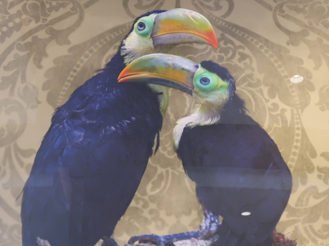 SCADstory-萨凡纳必去景点