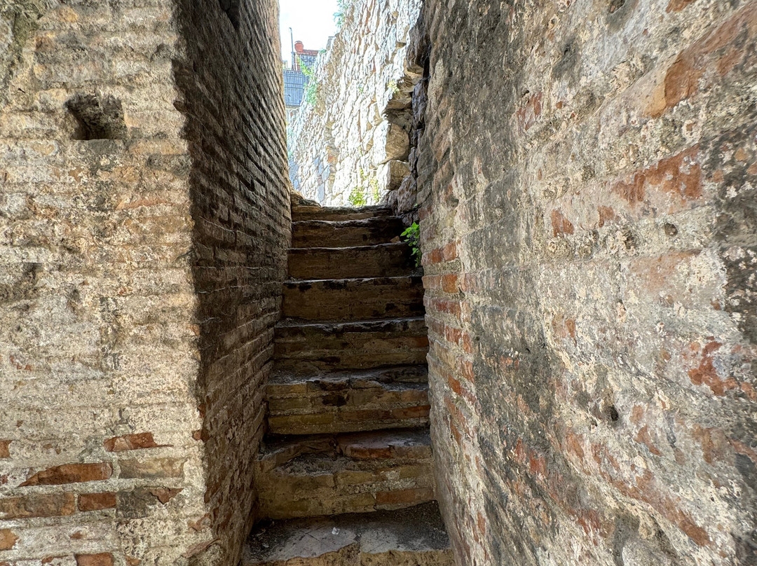 Sicily Choice Tours景点图片