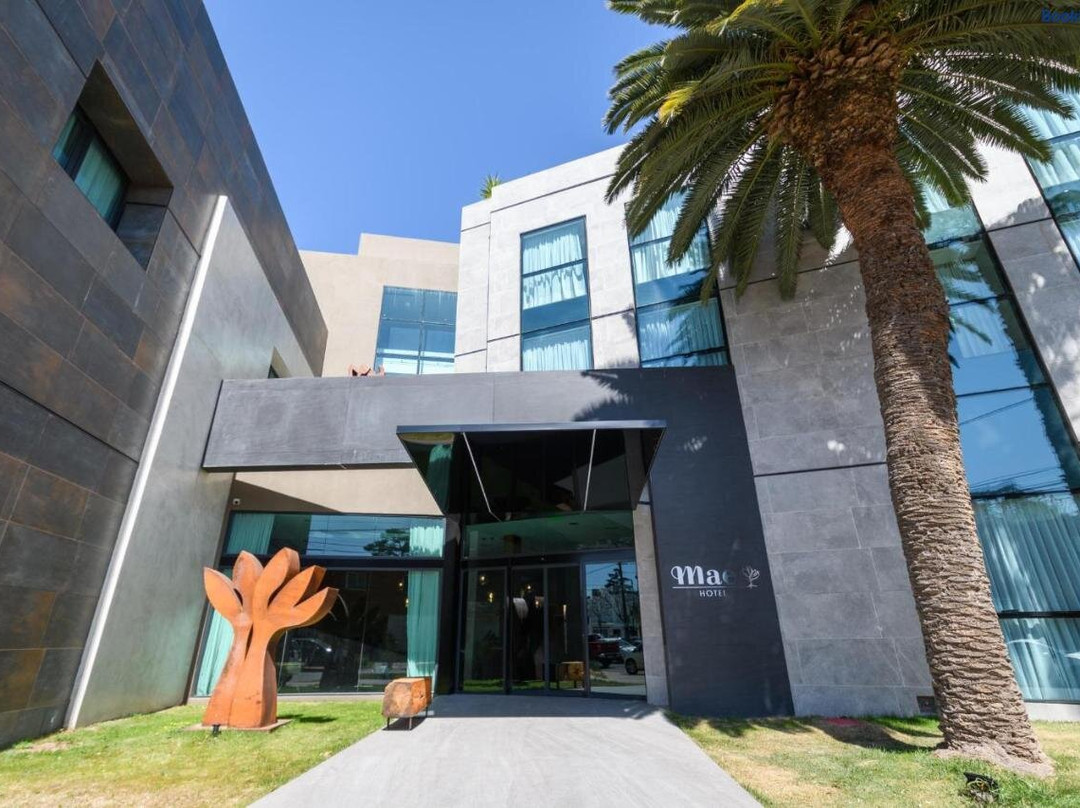 Mae Singular Hotel主图