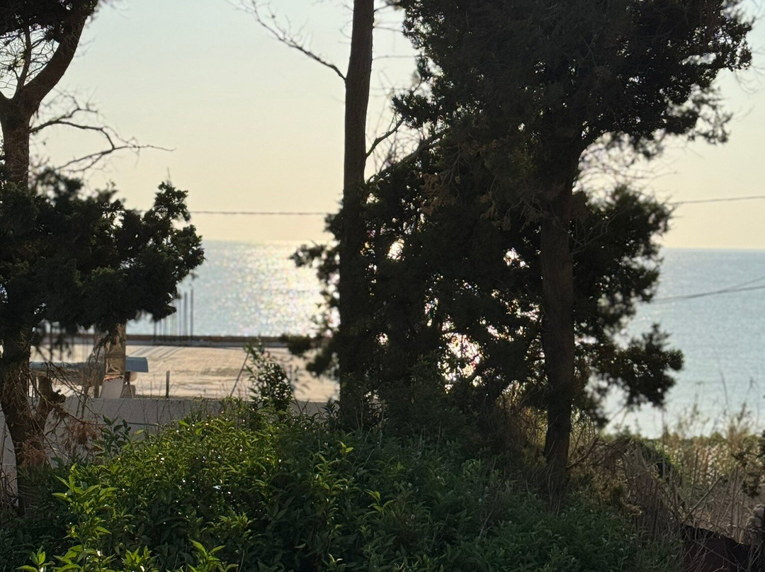 Afroditi Junior Suites主图