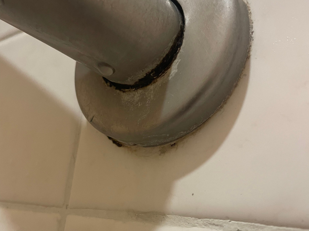 Best Western Rose Garden Inn主图