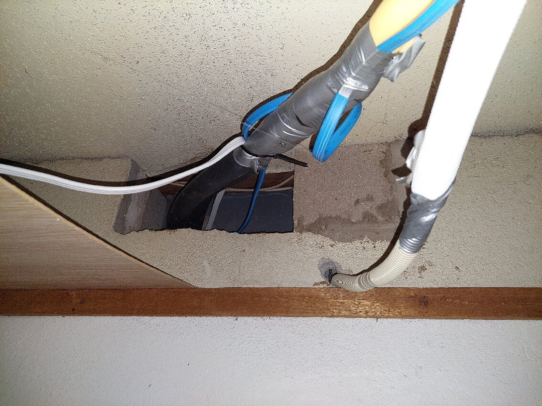 Boulevard Motor Inn主图