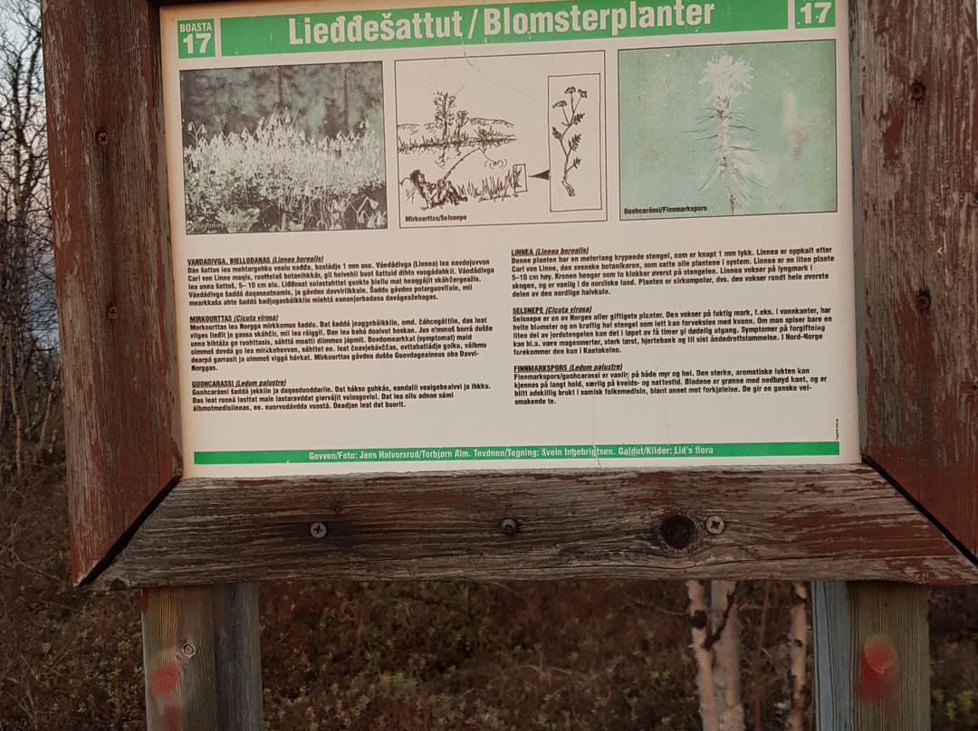 Kautokeino Natursti景点图片