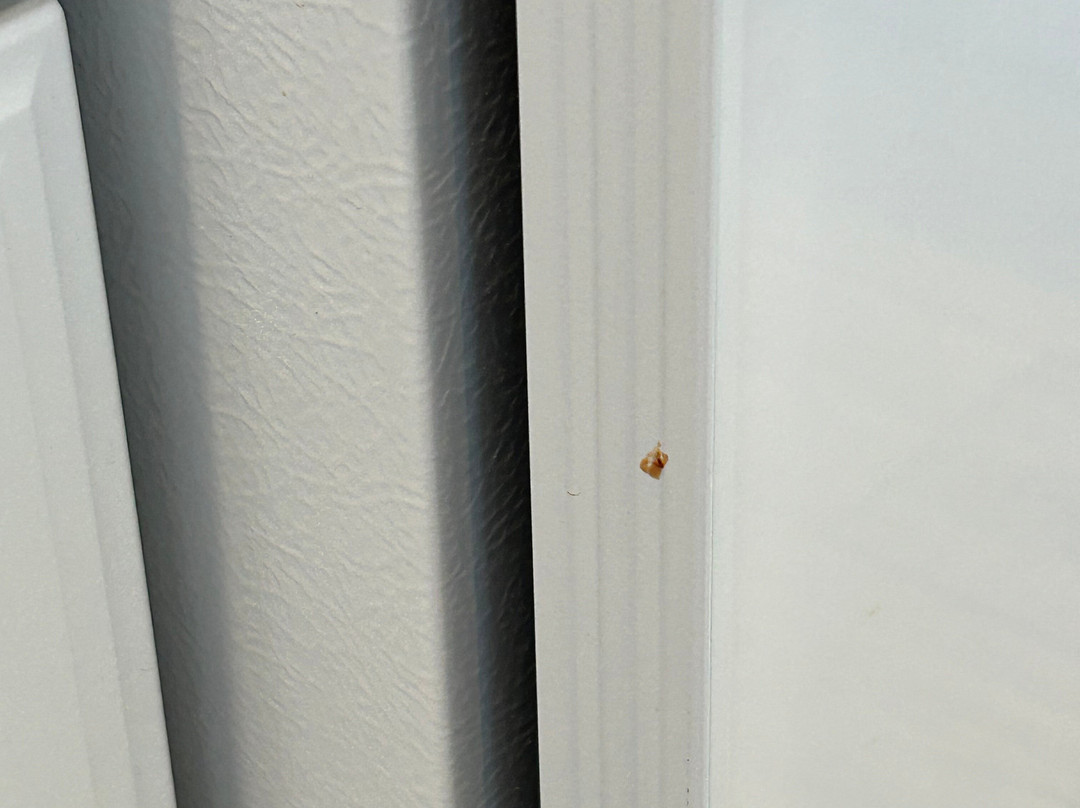 Pier View Suites主图