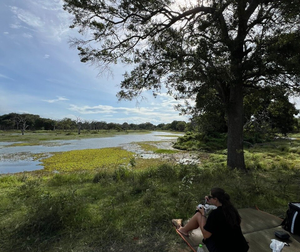 Lunugamvehera Safari Tours-Thanamalwila必去景点