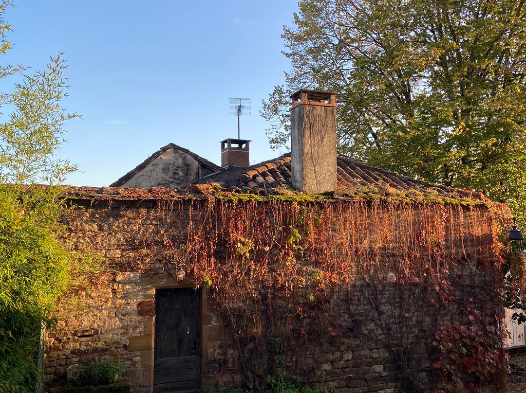 Halle de Cordes-sur-Ciel景点图片
