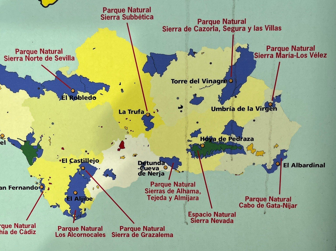 Jardín Micológico La Trufa景点图片