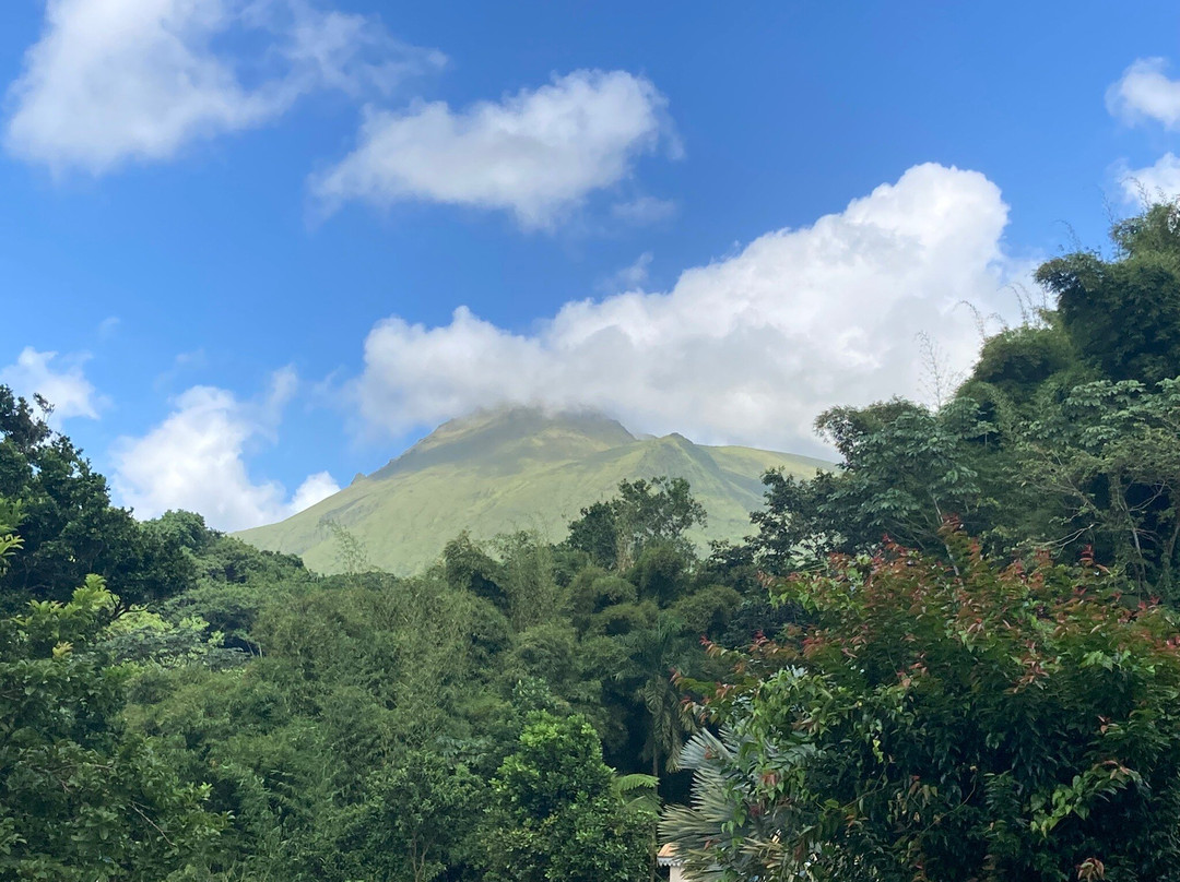 Le Domaine de la Vallee主图