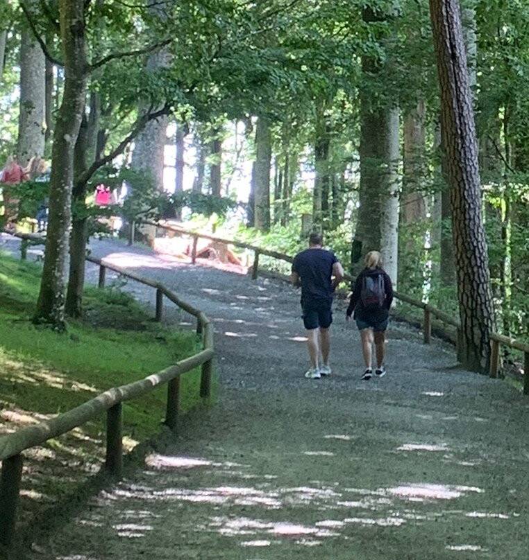 Affenberg Salem - Monkey Hill-塞勒姆必去景点