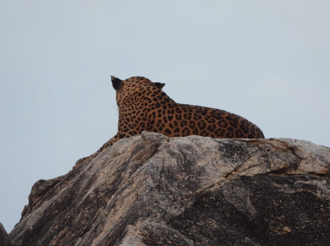 Deesha Safari Tours-蒂瑟默哈拉默必去景点