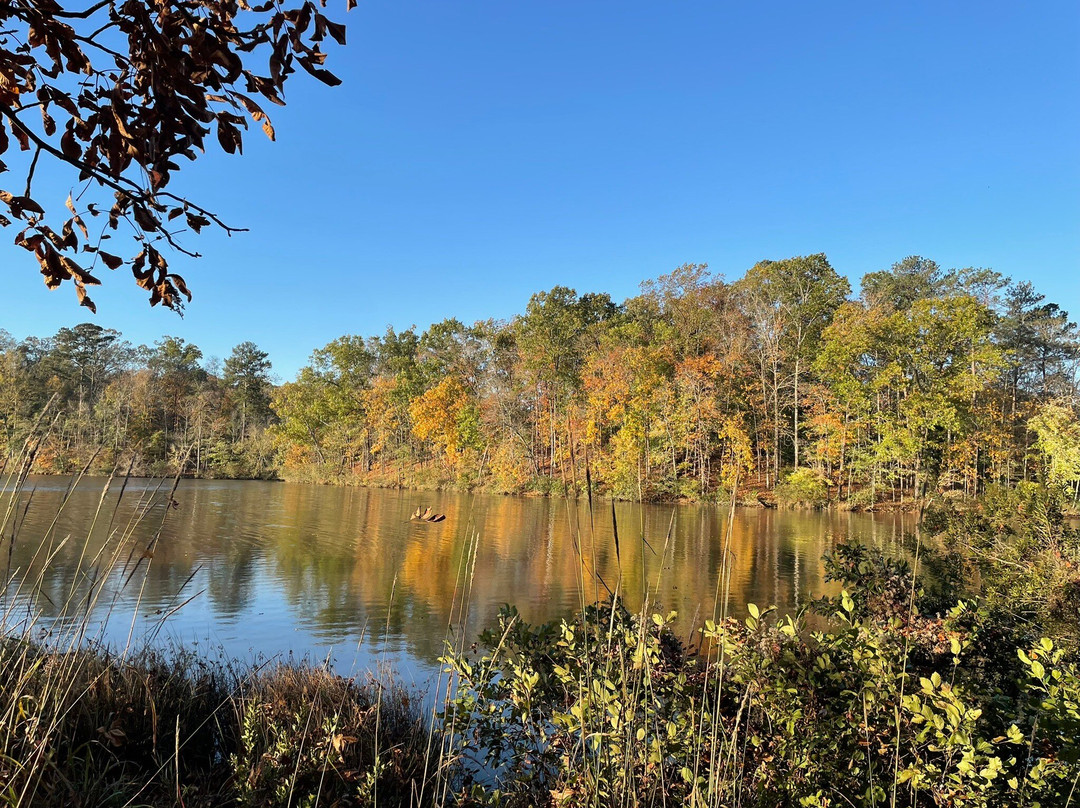 Indian Springs State Park-Flovilla必去景点