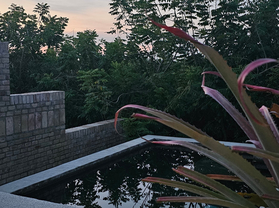 Terrestre Hotel主图