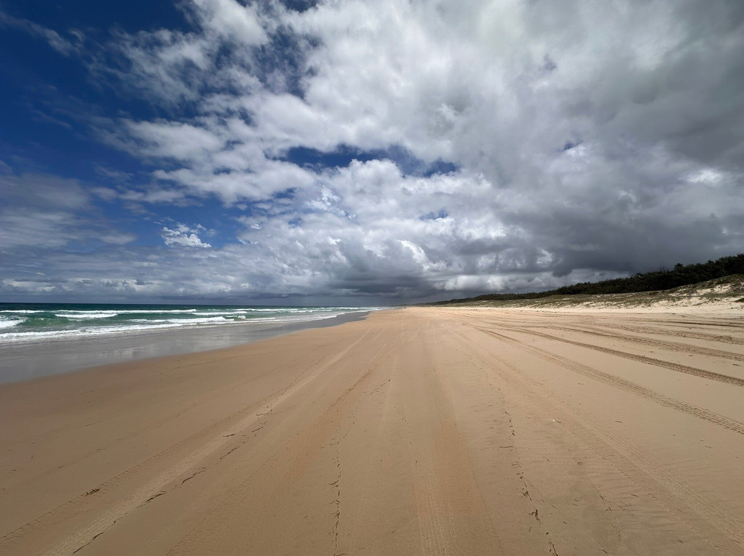 Straddie Kingfisher Tours景点图片