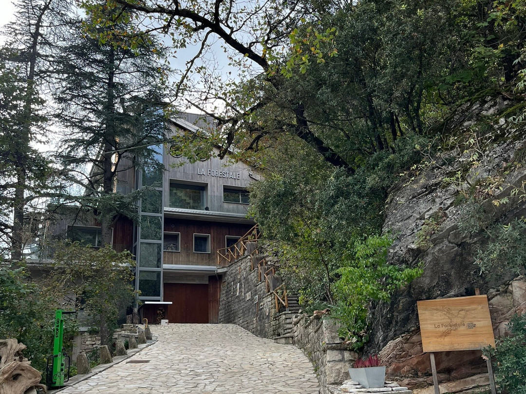 La Forestale Luxury Ecolodge主图