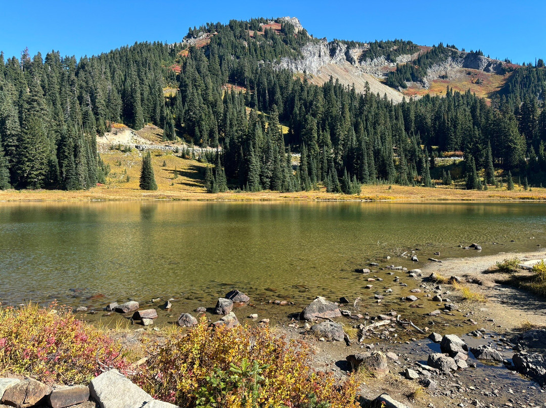 Mount Rainier National Park景点图片