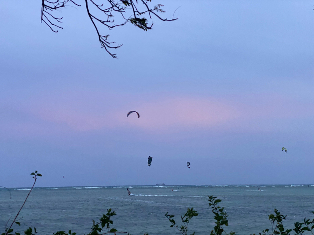 Phi Kite School景点图片