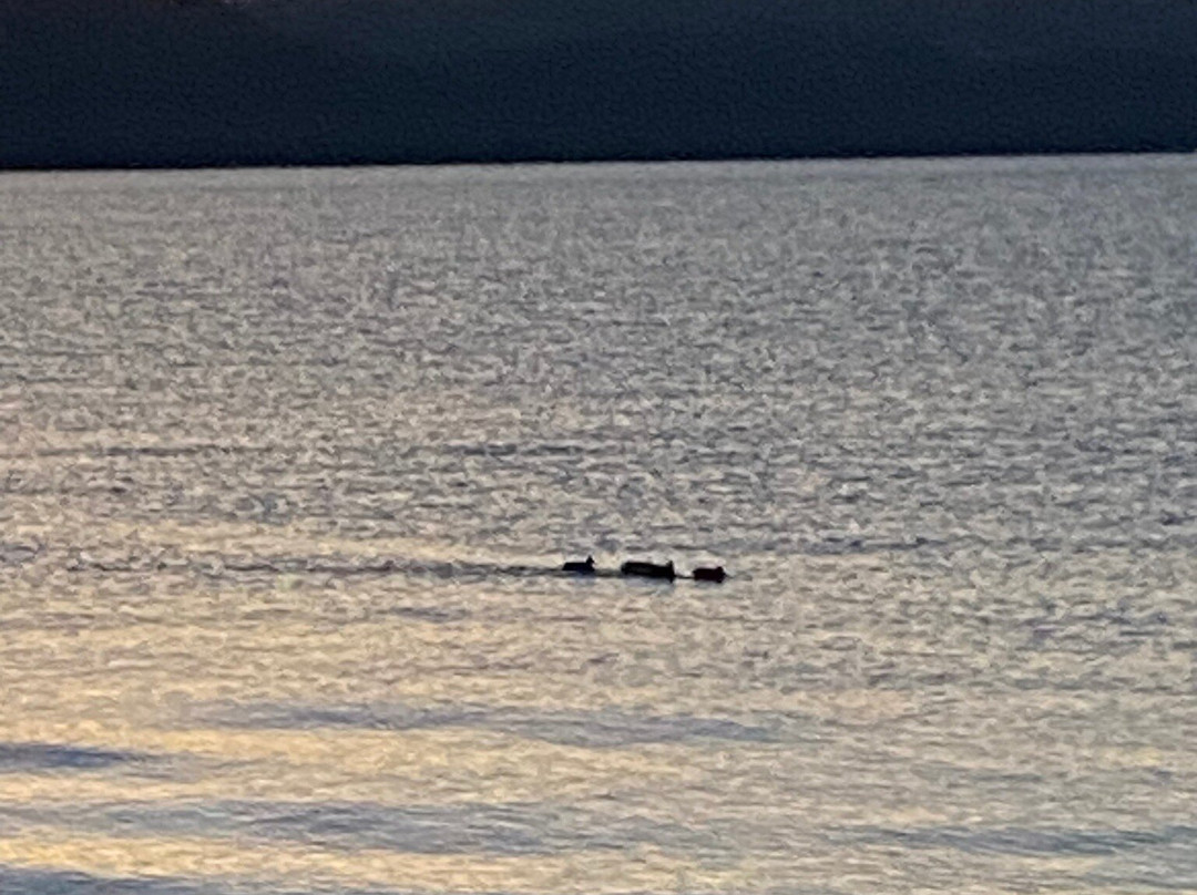 Crown Motel - Kings Beach主图