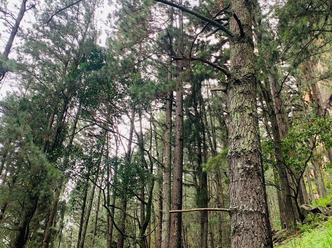 Ceylon Adventure Tours - Ella Branch-埃勒必去景点