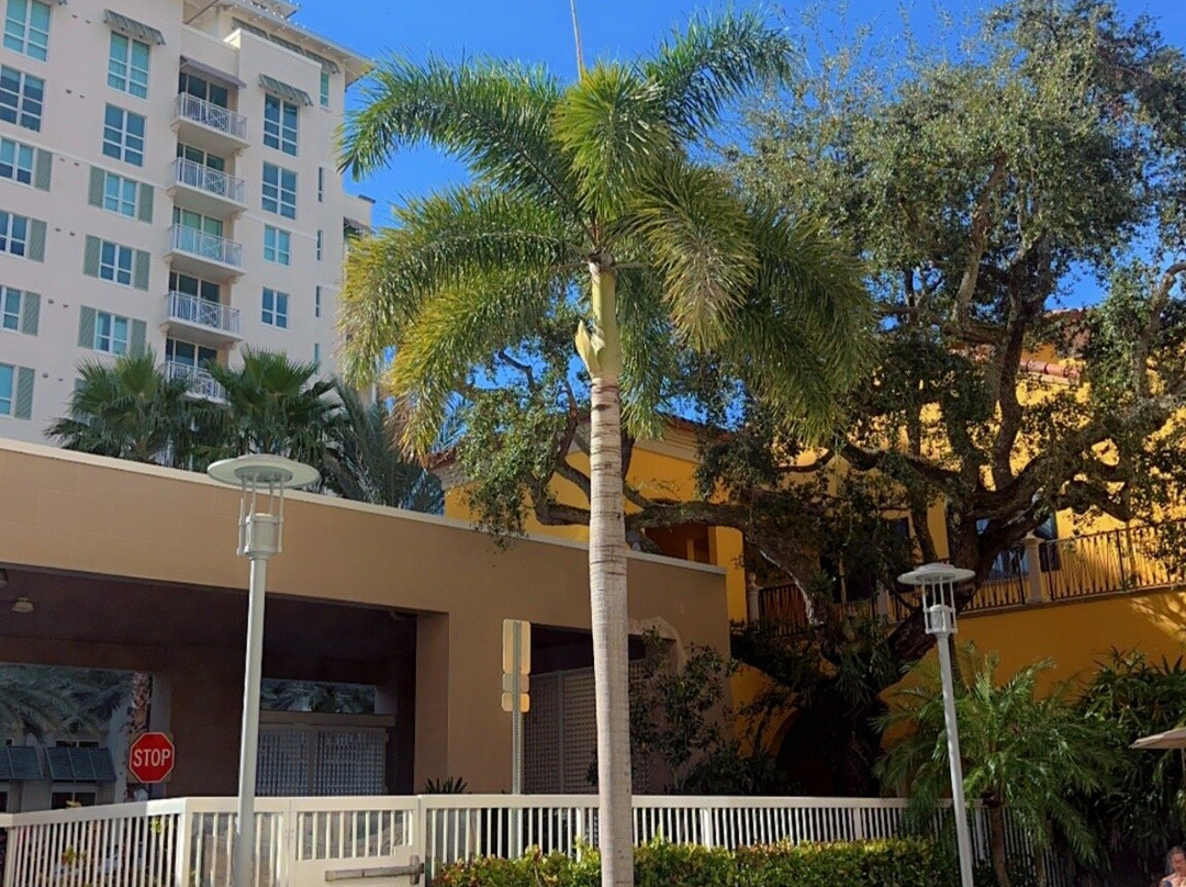 Residence Inn by Marriott West Palm Beach Downtown主图