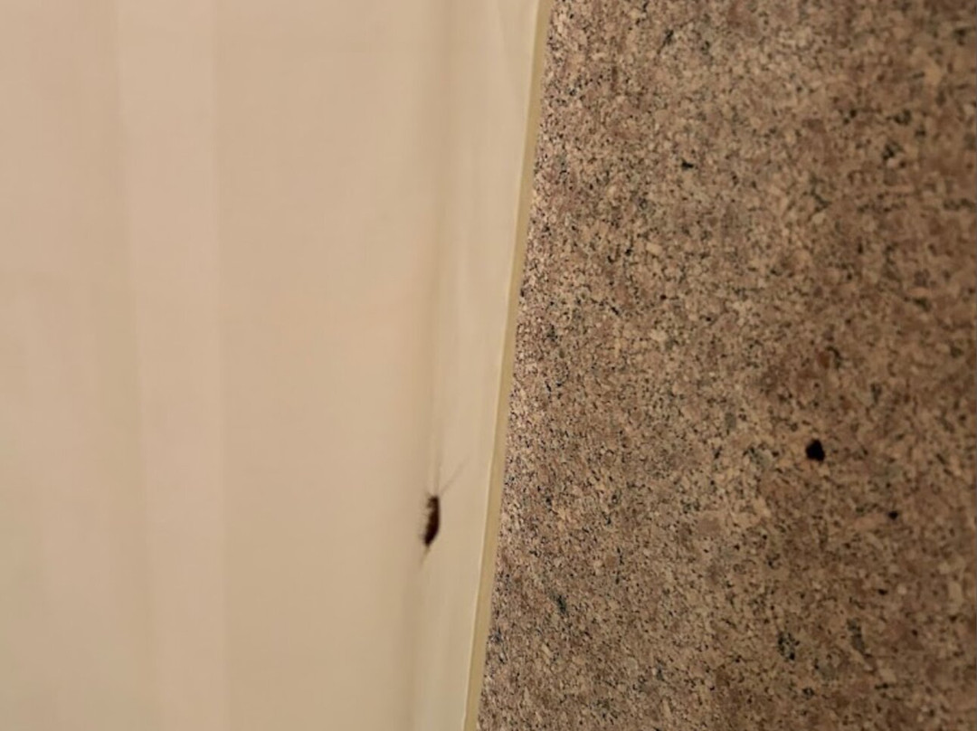 Magnolia Inn and Suites