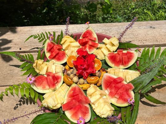 Adventure Orangutan Wildlife-棉兰必去景点