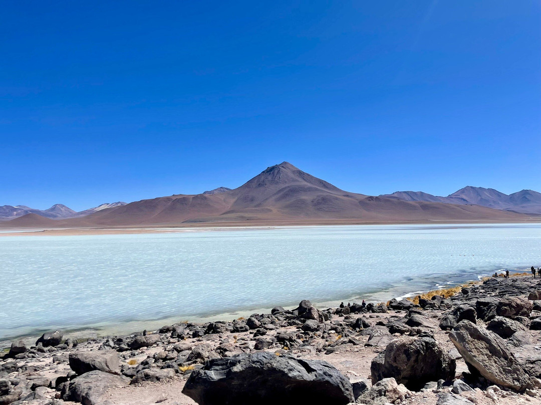 Laguna Blanca-乌尤尼必去景点