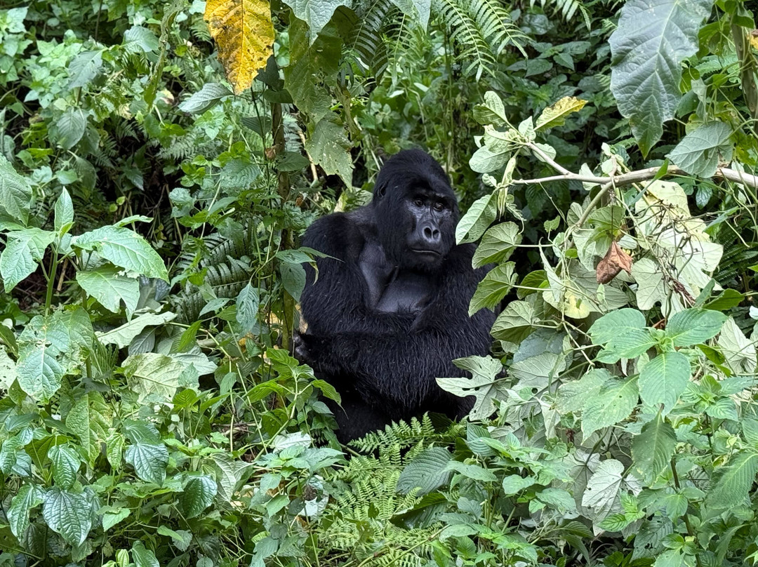Freka African Holidays-坎帕拉必去景点